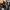ZARA Luxury Biker Hoody Pria multicolor photo 5