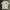 Burberry Luxury Avant Garde T-shirt Pria white photo 2