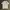 Burberry Luxury Avant Garde T-shirt Pria white photo 4