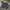 Covernat Gorpcore Puffer jacket Pria navy black photo 1
