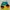 Crop top Wanita multicolor photo 4