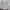 Fairy Babydoll dress Wanita white photo 1
