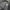 Streetwear Windbreaker Pria black photo 4
