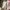 Airwalk Casual Sneakers Pria gray photo 1