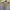 Sportswear Sweatpants & Joggers Wanita gray yellow photo 6
