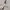 Rajut Pria Calvin Klein Track Top Knit Double Zipper Tan photo 3