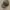 Vintage Casual Hat Pria gray photo 1
