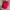Hat Pria Red