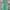 Mango Summer dress Wanita green photo 3