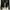 Lolita Coquette Cardigan Wanita black photo 1
