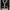 Vintage Coquette Cardigan Wanita black photo 1