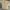 Ben Davis Biker Formal Shirt Pria Khaki
