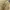 Ben Davis Biker Formal shirt Pria khaki photo 2