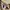 Ben Davis Biker Formal shirt Pria khaki photo 4