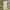 Stone Island Gorpcore Avant Garde Windbreaker Pria yellow photo 8