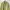 Stone Island Gorpcore Avant Garde Windbreaker Pria yellow photo 2