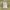 Stone Island Gorpcore Avant Garde Windbreaker Pria yellow photo 7