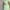 Casual Wrap dress Wanita green photo 3