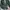 Casual Cardigan Wanita green photo 2