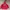 Skater Fleece Pria red photo 2