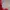 Skater Fleece Pria red photo 4