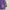 Fairy Indie Sweatshirt Wanita purple photo 3