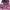 Grunge Goth Fur coat Wanita purple burgundy photo 5