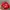 Hat Pria white red photo 2