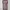 Issey Miyake Blouse Wanita multicolor photo 4