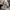 Abercrombie & Fitch Skater Hoody Pria gray photo 4