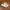 Nike Casual Sneakers Pria white tan photo 1