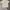 Patagonia Streetwear Sportswear T-shirt Pria white photo 1