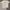 Patagonia Streetwear Sportswear T-shirt Pria White