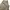 Uniform Bridge Streetwear Casual Casual pants Pria khaki photo 5