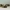 Adidas Streetwear Luxury Sneakers Pria multicolor gold silver purple burgundy white green tan navy red pink brown khaki black orange gray cream blue yellow photo 1