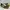 Adidas Streetwear Luxury Sneakers Pria multicolor gold silver purple burgundy white green tan navy red pink brown khaki black orange gray cream blue yellow photo 5