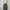 Mini skirt Wanita green photo 2