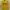 Fruit Of The Loom Vintage T-shirt Pria Yellow