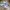 Adidas Casual Sneakers Pria green gray photo 1