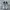 Nike Streetwear Sneakers Pria silver photo 3