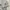 Nike Y2K Sportswear Jersey Pria gray photo 5