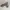 Converse Streetwear Casual Sneakers Wanita multicolor gold silver purple burgundy white green tan navy red pink brown khaki black orange gray cream blue yellow photo 4