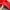 Grunge Bomber jacket Wanita red photo 7
