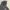 The North Face Gorpcore Casual Windbreaker Pria white black photo 4