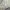 Alexander McQueen Luxury Casual Sneakers Pria multicolor gold silver purple burgundy white green tan navy red pink brown khaki black orange gray cream blue yellow photo 6