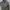 Polham Vintage Casual Puffer jacket Pria gray photo 1