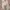 H&M Minimalist Casual T-shirt Wanita multicolor photo 2