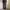 Levi's Streetwear Jeans Pria multicolor photo 8