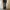 Levi's Streetwear Jeans Pria multicolor photo 7