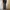 Levi's Streetwear Jeans Pria multicolor photo 6